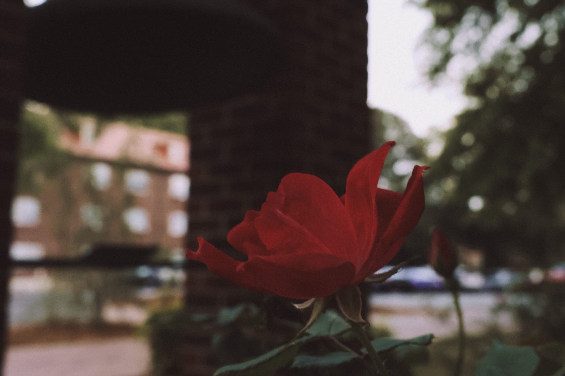Landscape 9 by Cason Leleux